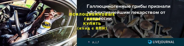 гашик Майский