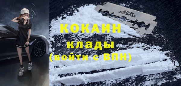 гашик Майский