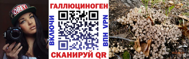 Галлюциногенные грибы ЛСД  Новоалтайск 